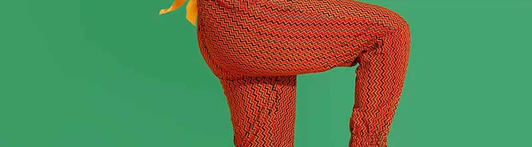 Alok (Alok Vaid-Menon)