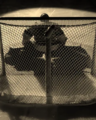 Bentley Falcons Hockey Waltham