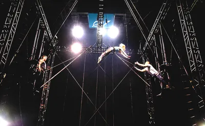 Cirque du Soleil - Ovo