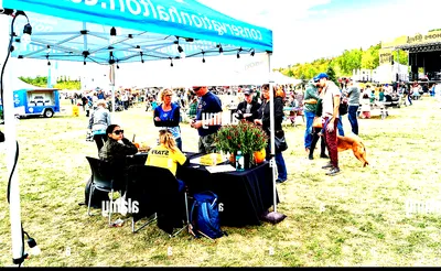 Craft Beer Festival