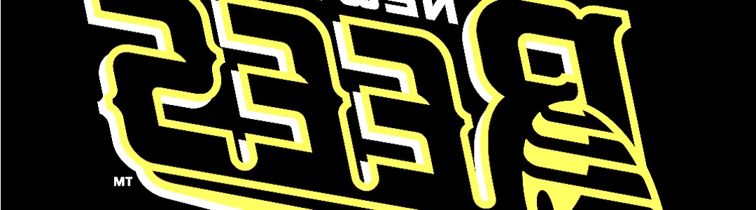 New Britain Bees