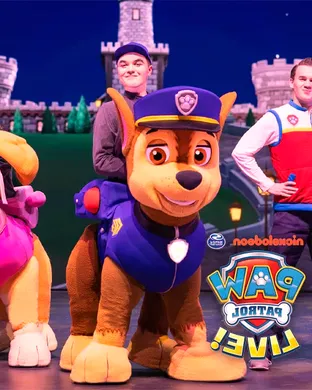 Paw Patrol Live