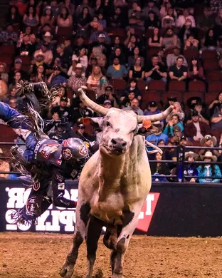 PBR: Canada Cup Series