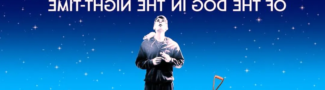 The Curious Incident of the Dog in the Night-Time