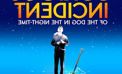 The Curious Incident of the Dog in the Night-Time