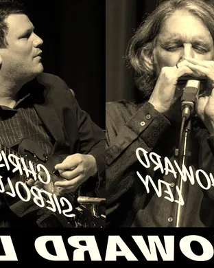 Live concert by The Howard Levy 4