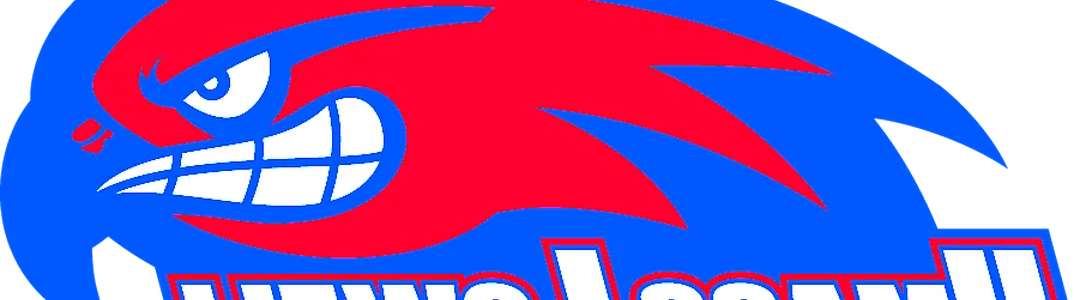 UMass Lowell River Hawks